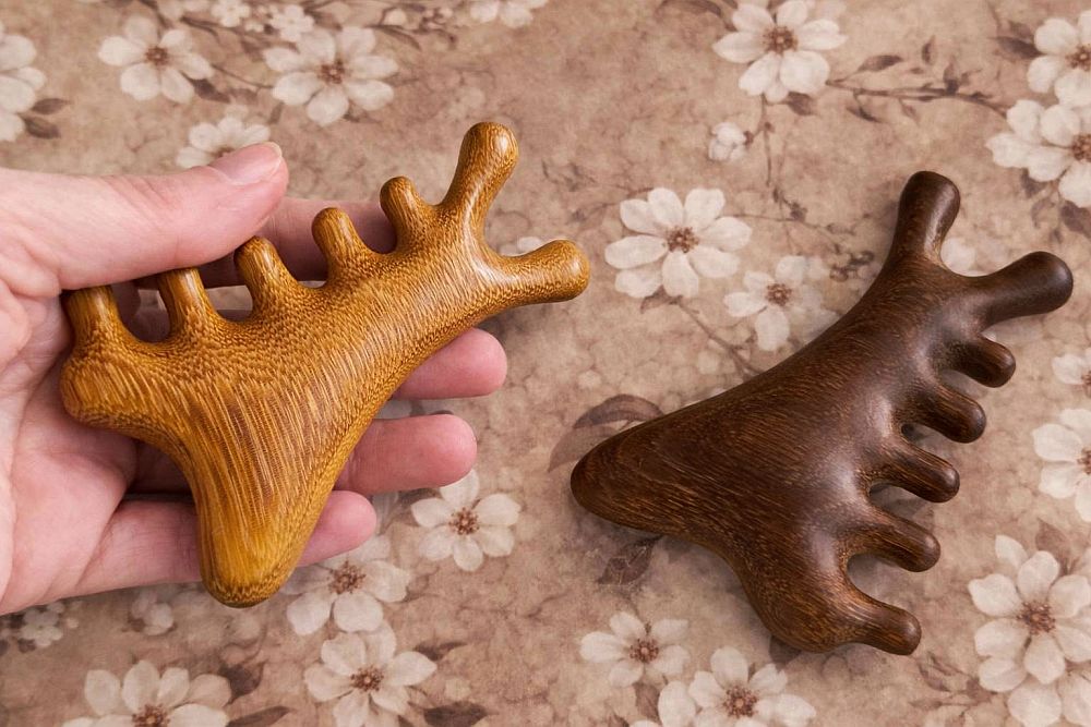 snapedit_1774292396501